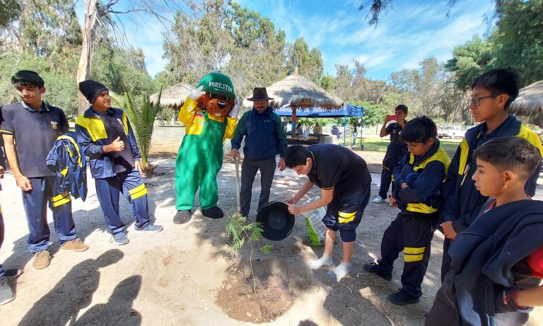 CONAF celebró el Día Mundial del Árbol con feria ambiental y plantando